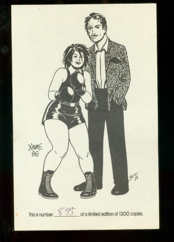 LOVE & ROCKETS BOOK 3-HARDCOVER-LOS BROS HERNANDEZ-#895 NM