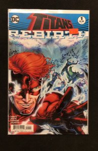 Titans: Rebirth (2016)