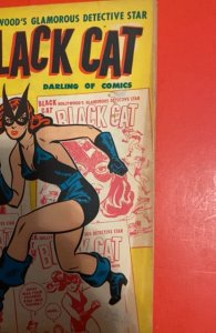 Black Cat Comics #6 (1947) Golden Age Heroine