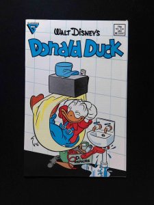 Donald Duck #249  DELL/GOLD KEY/WHITMAN Comics 1987 VF