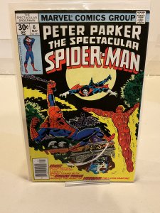 Spectacular Spider-Man #6  1977  F