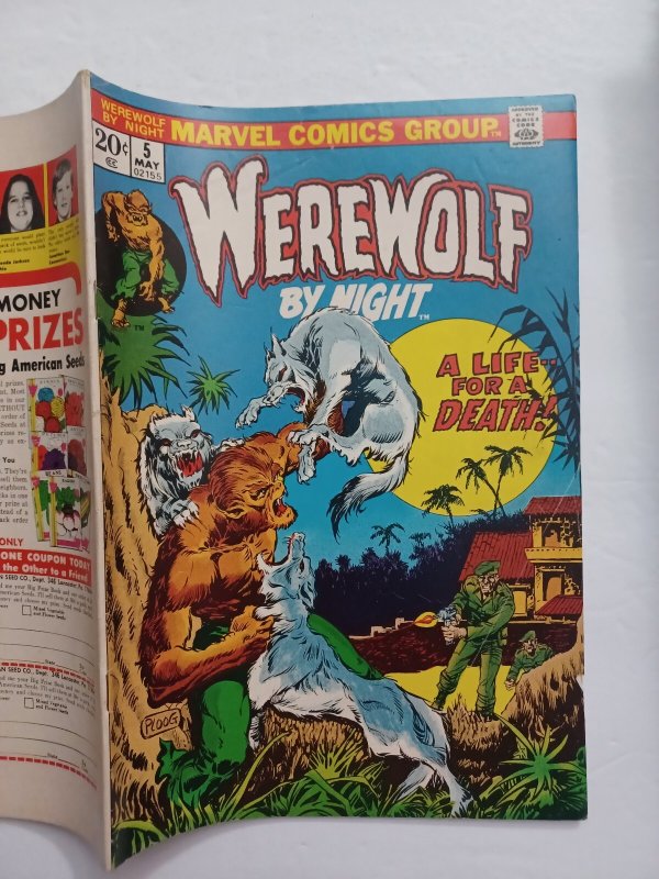 Werewolf by Night #5 - Mike Ploog - 1973 - FN