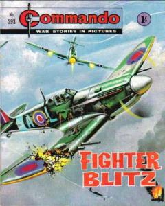 Fighter Blitz