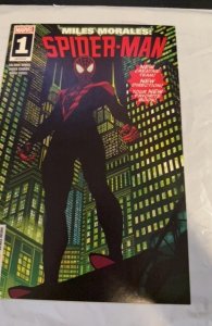 Miles Morales: Spider-Man #1  (2019)Saladin Varaint
