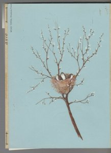 WONDERFUL DAY 3 Cute Birds in Pussywillow Nest 6x8.25 Greeting Card Art #E2867