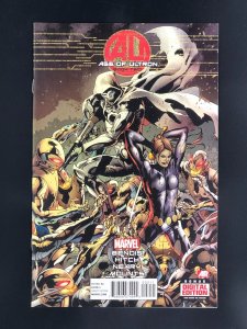 Age of Ultron #2 (2013)
