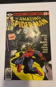 The Amazing Spider-Man #194 (1979)1st Black Cat see descrip