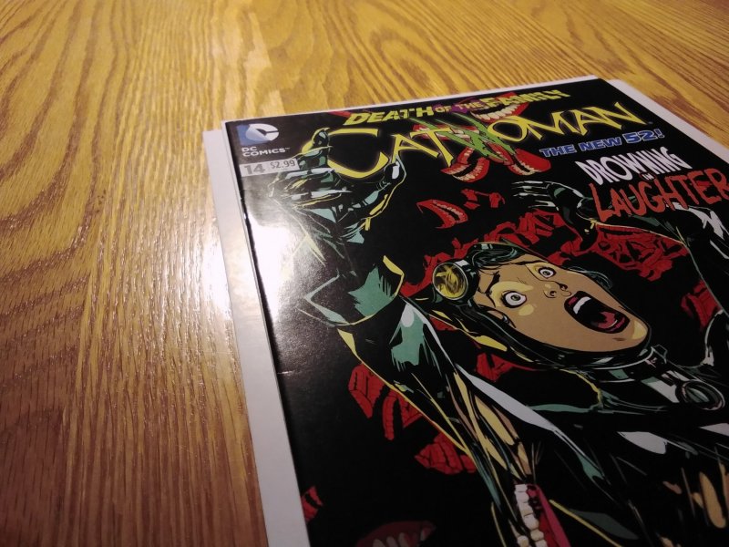 Catwoman #14 Direct Edition (2013)