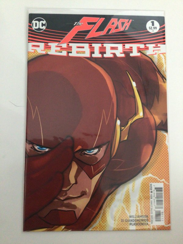 The Flash: Rebirth Karl Kerschl Cover (2016)