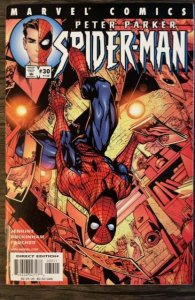 Peter Parker: Spider-Man #30 (2001)