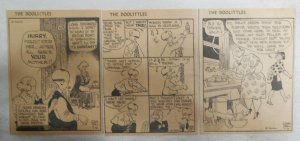 (62) The Doolittles Dailies by Quin Hall from 1943 Size 4 x 5 inches AP Strip