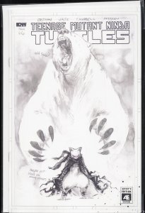 Teenage Mutant Ninja Turtles #66 Cover B (2017)