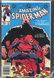 The Amazing Spider-Man #249 (1984) Spider-Man