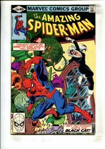 AMAZING SPIDER-MAN #204 (9.0) BLACK CAT, DIRECT!! 1980