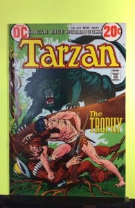 Tarzan #218 (1973)