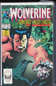 Wolverine #11 (1989) Wolverine