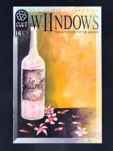Wiindows #16 (1994)