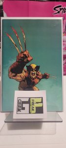 Wolverine #37 (2023)