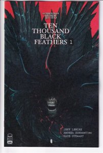 BONE ORCHARD BLACK FEATHERS (2022 IMAGE) #1 VARIANT CVR B WARD