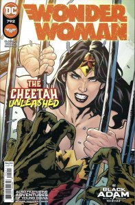 Wonder Woman (1st Series) #792 VF/NM ; DC | Cheetah