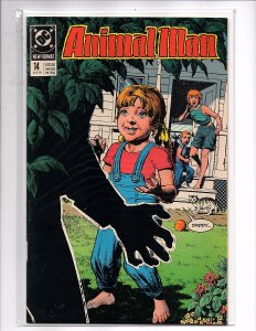 DC Comics Animal Man #14 Grant Morrison Brian Bolland  Tom Grummett