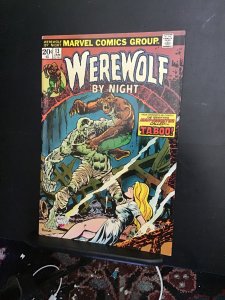 Werewolf by Night #13 (1974) High-grade 1st Taboo! Ploug art! VF Wow