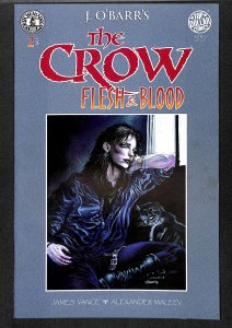 The Crow: Flesh and Blood #2 (1996)
