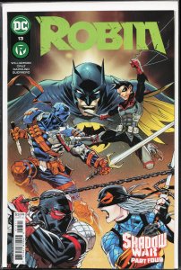 Robin #13 (2022) Robin