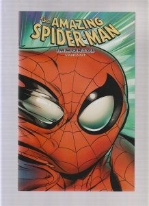 AMAZING SPIDER-MAN #29 - BAGLEY IMORTAL WRAPAROUND VARIANT