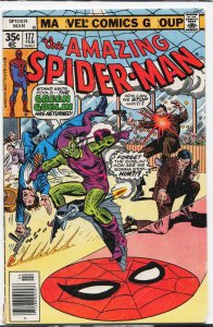 The Amazing Spider-Man #177 (1978) Spider-Man