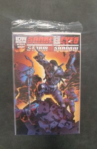 Snake Eyes and Storm Shadow #17 (2012)