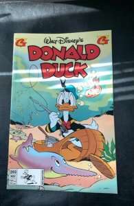 Donald Duck #293 (1995)
