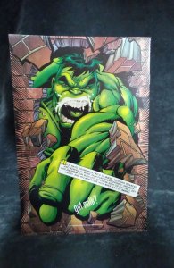 Spider-Girl #13 (1999)