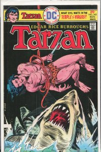 Edgar Rice Burroughs' Tarzan #243 (1975)