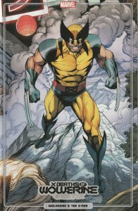 X Deaths Of Wolverine # 4 Bagley Variant Cover NM Marvel[F3]