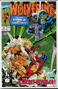 Wolverine #41 (1991) Wolverine