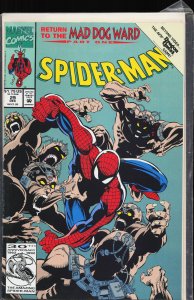Spider-Man #29 (1992) Spider-Man