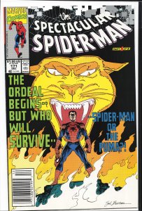 The Spectacular Spider-Man #171 (1990) Spider-Man