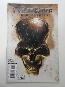 Ghost Rider: Trail of Tears #1 (2007) FN/VF Condition!