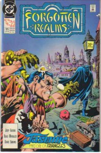 Forgotten Realms (DC) #11 VF ; DC | TSR