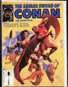 The Savage Sword of Conan #203 (1992) Conan