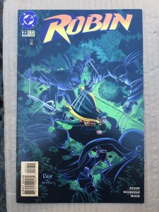 Robin #22 (1995)