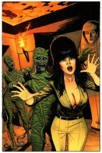 ELVIRA Mistress of the Dark #11 1:10, NM-, Dynamite, 2018 2019,  Cermak