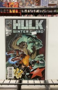 Hulk: Winter Guard #1 (2010)