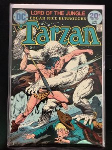 Tarzan #227 (1974)