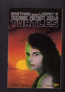 Teenage Mutant Ninja Turtles #28 - MICHAEL DOONEY COVER! (8.0/8.5) 1990