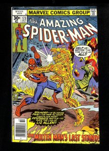 Amazing Spider-Man #173