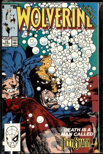 Wolverine #19 (1989) Wolverine