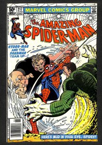 The Amazing Spider-Man #217 (1981)