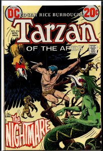 Edgar Rice Burroughs' Tarzan #214 (1972)